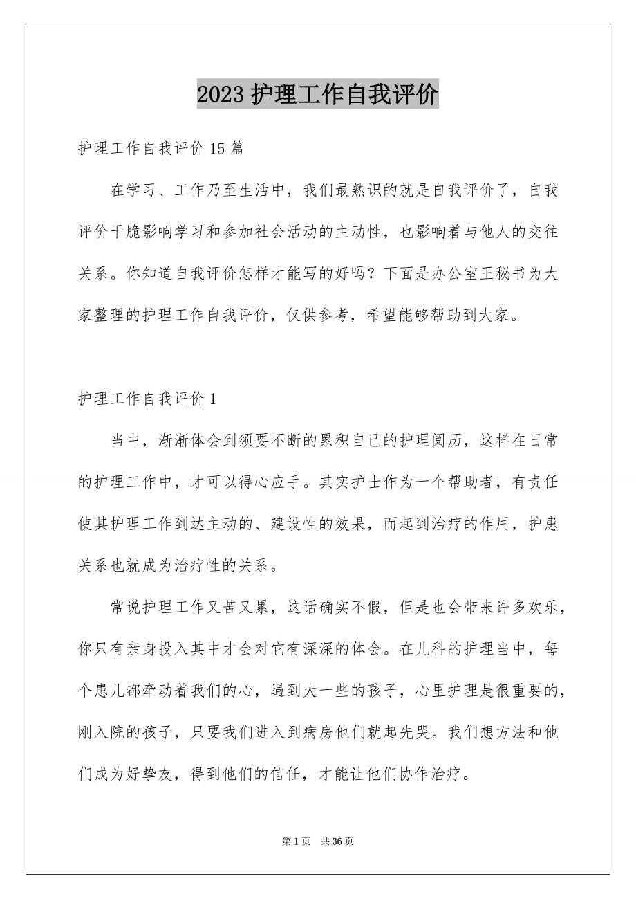 2023护理工作自我评价范文.docx_第1页