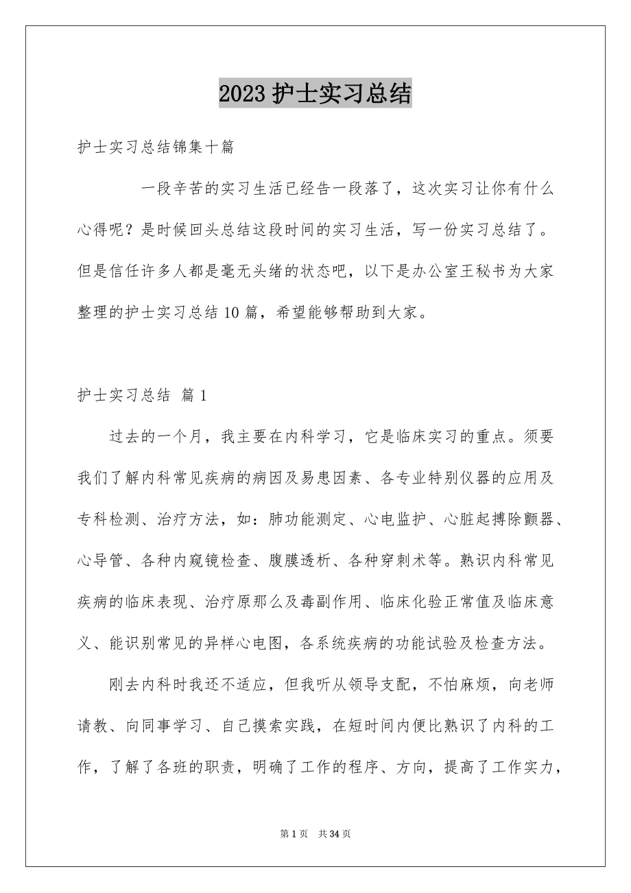 2023护士实习总结23范文.docx_第1页