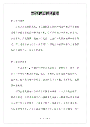 2023护士实习总结38范文.docx