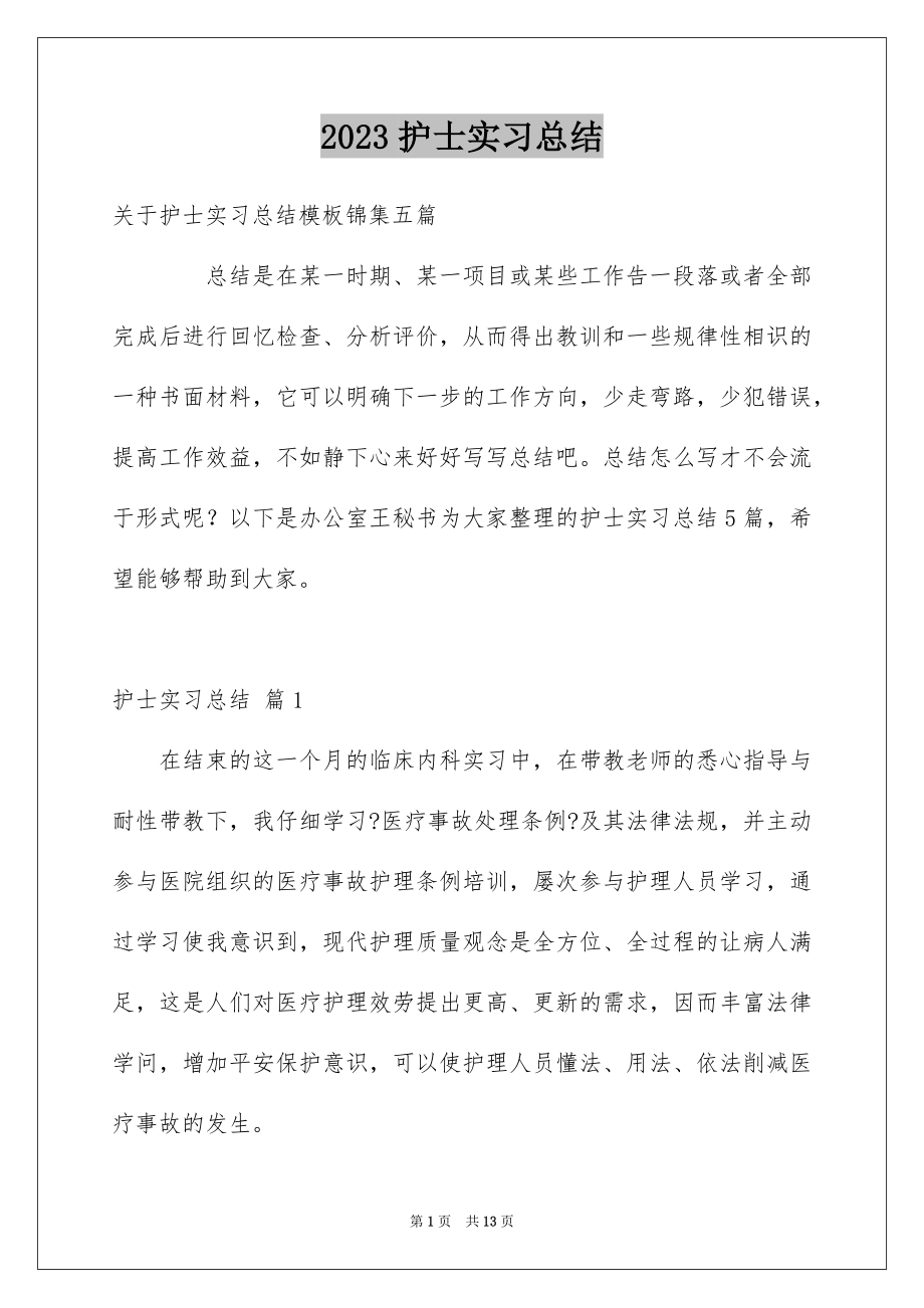 2023护士实习总结17范文.docx_第1页