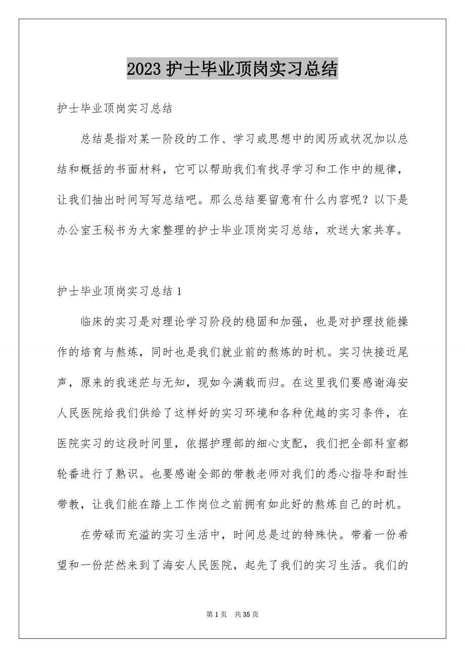 2023护士毕业顶岗实习总结范文.docx_第1页