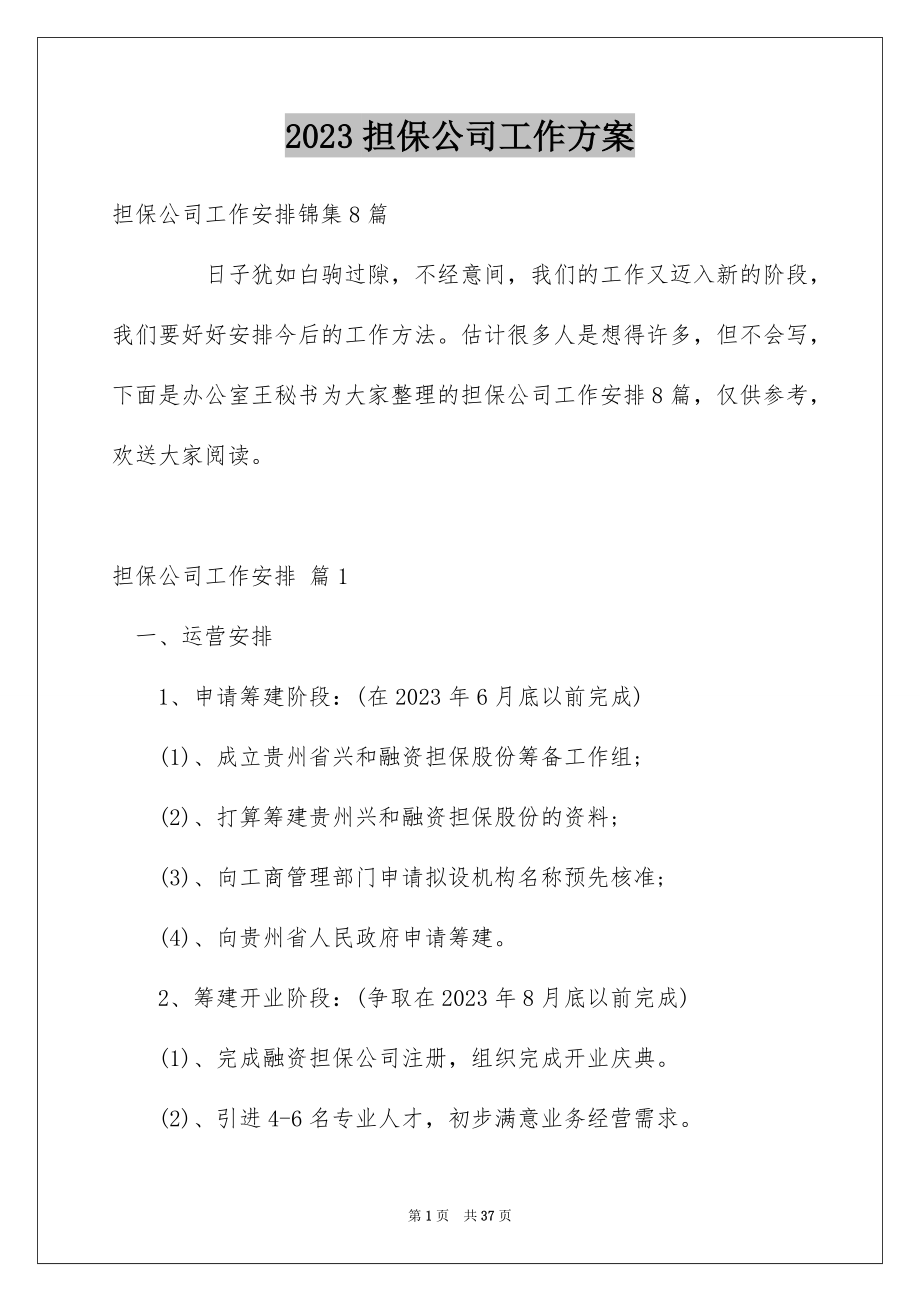 2023担保公司工作计划范文.docx_第1页