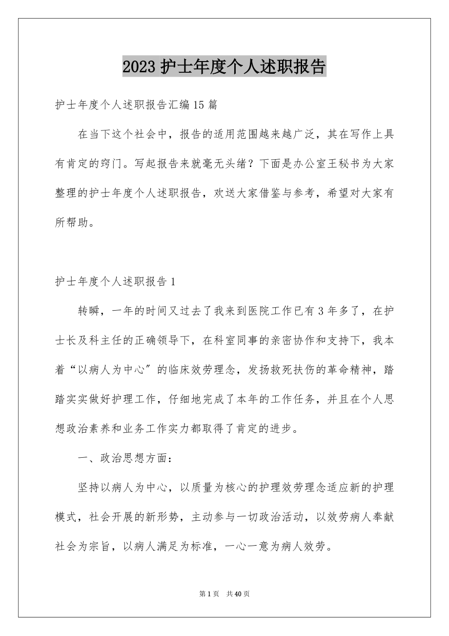 2023护士年度个人述职报告2范文.docx_第1页