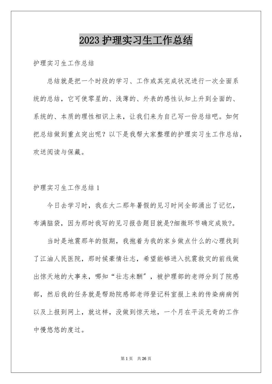 2023护理实习生工作总结范文.docx_第1页