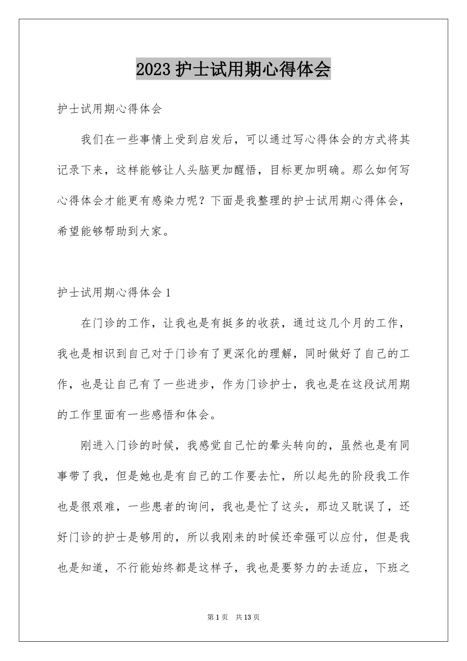 2023护士试用期心得体会范文.docx_第1页