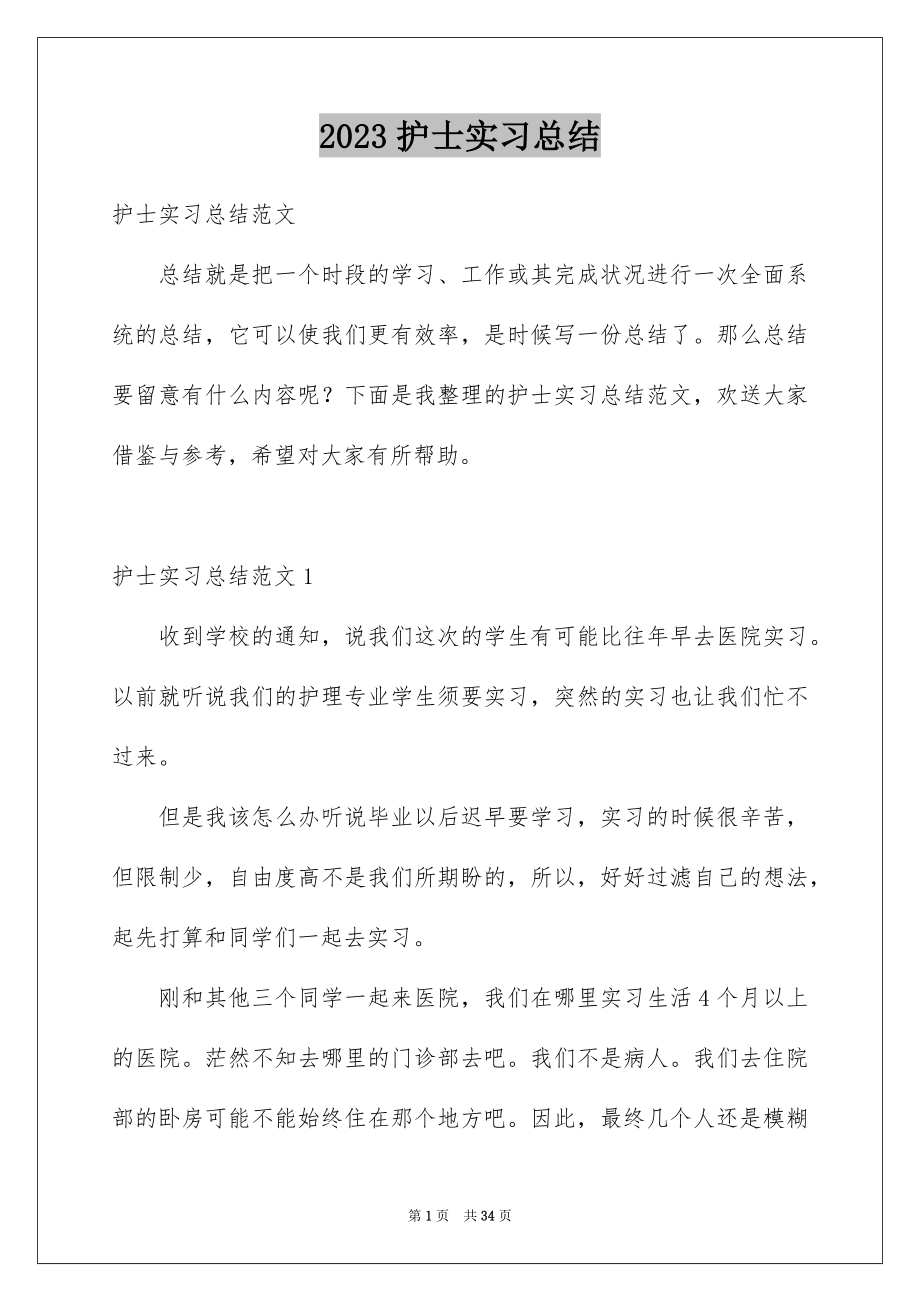 2023护士实习总结1范文.docx_第1页