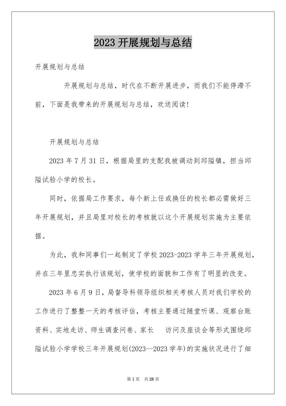 2023年发展规划与总结.docx_第1页