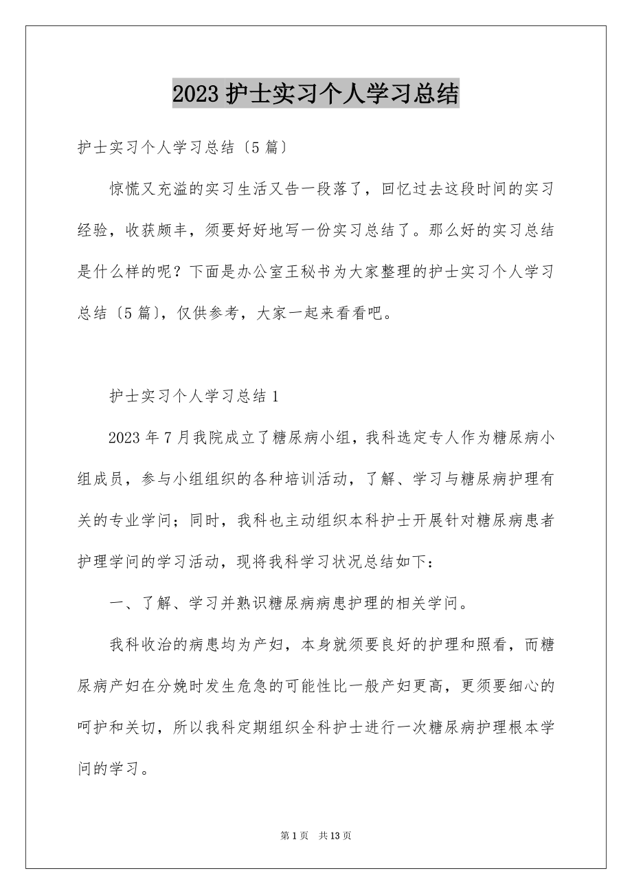 2023护士实习个人学习总结范文.docx_第1页