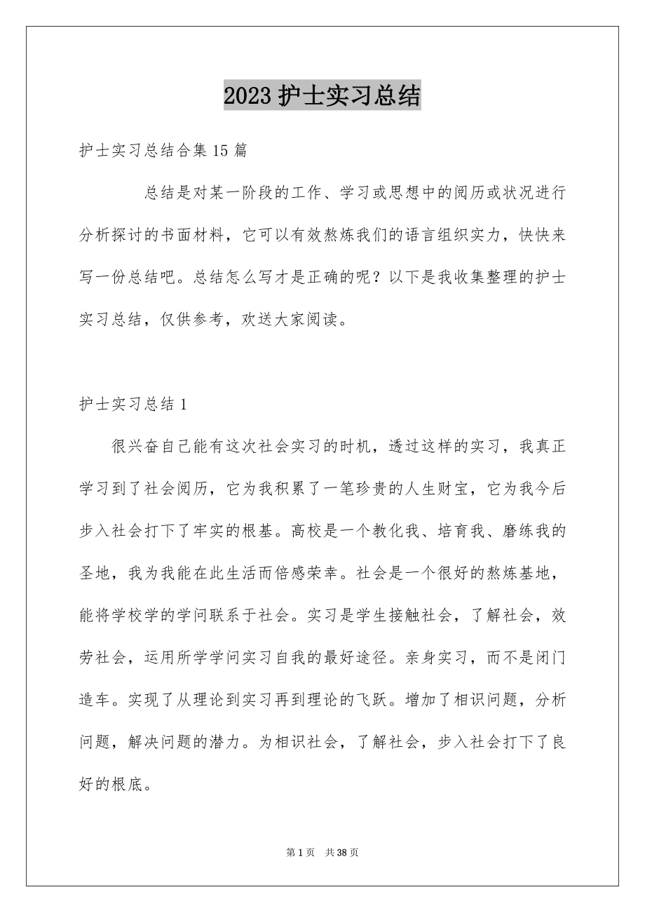 2023护士实习总结6范文.docx_第1页