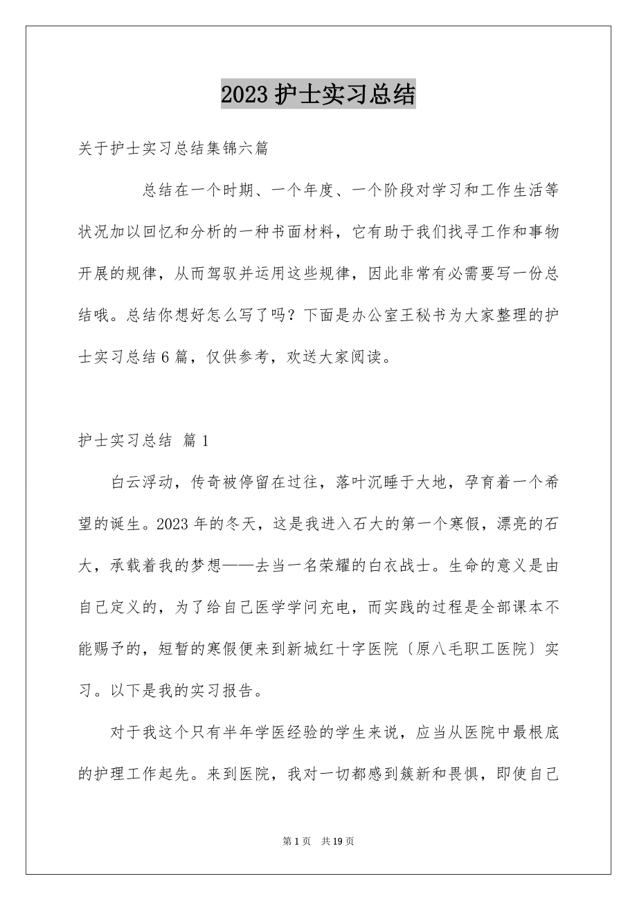 2023护士实习总结31范文.docx_第1页