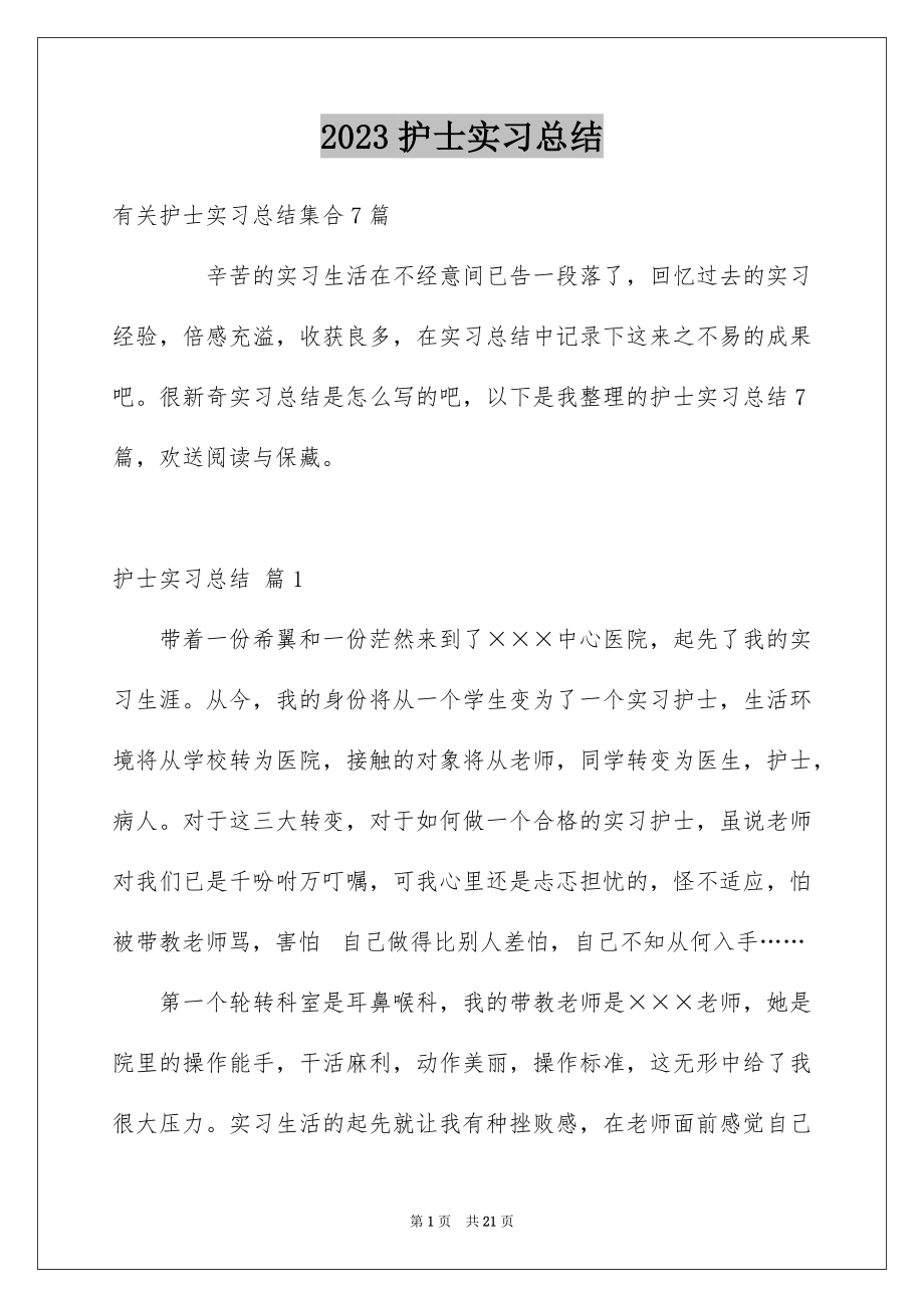 2023护士实习总结9范文.docx_第1页