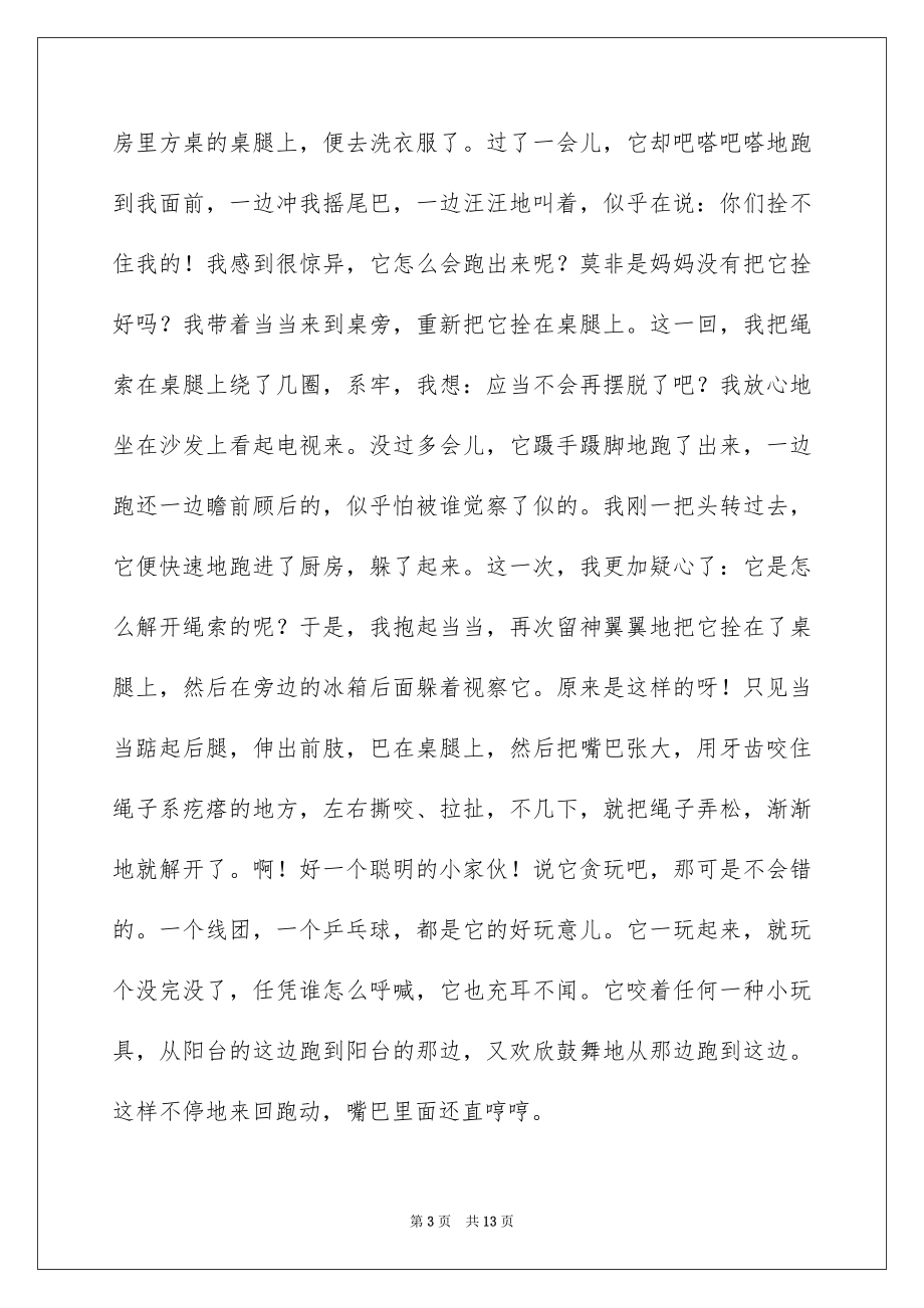 2023年可爱的小狗作文700字.docx_第3页