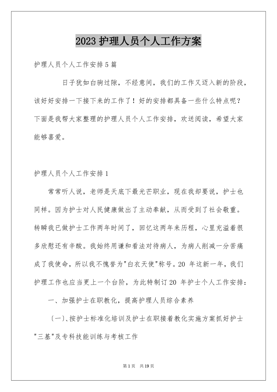 2023护理人员个人工作计划范文.docx_第1页