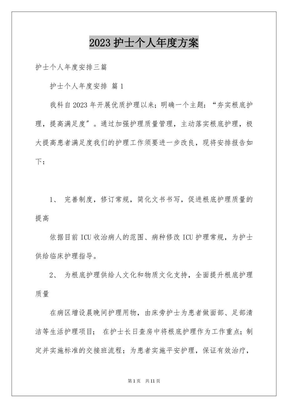 2023护士个人年度计划6范文.docx_第1页