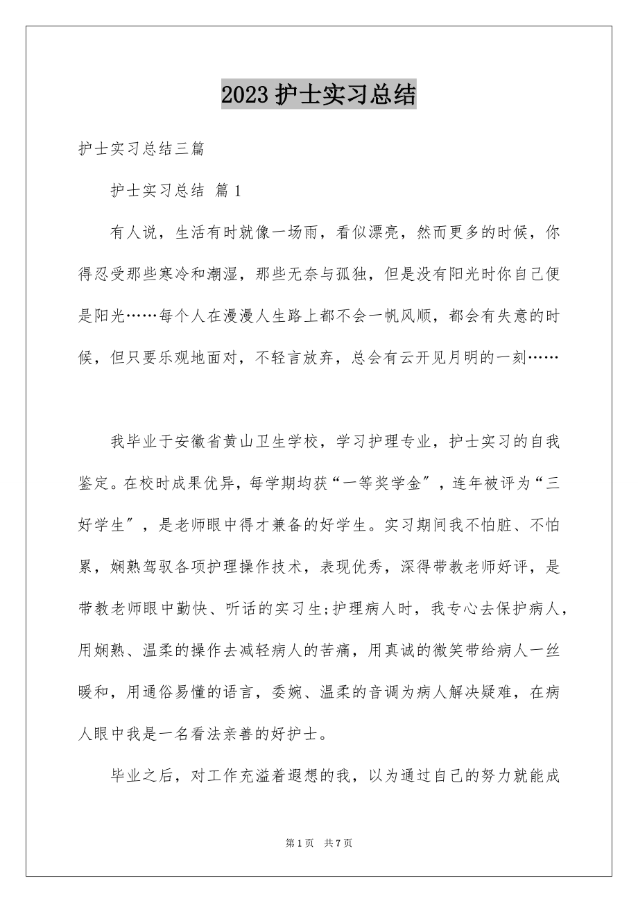 2023护士实习总结18范文.docx_第1页