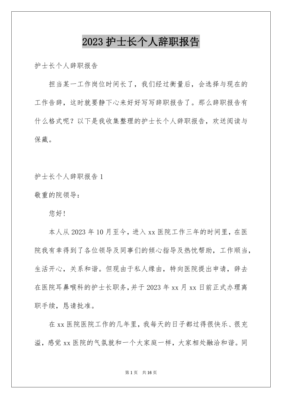 2023护士长个人辞职报告范文.docx_第1页