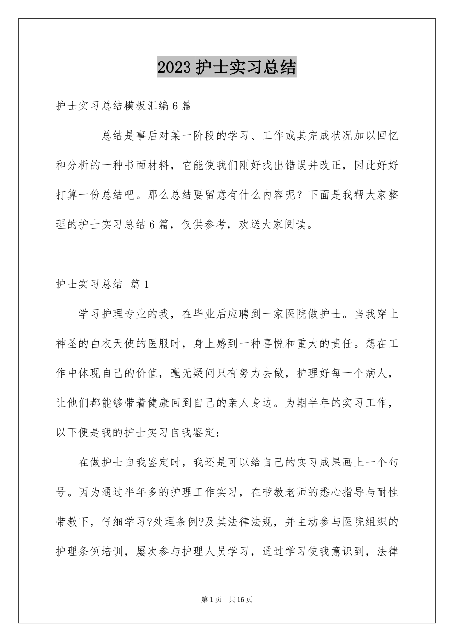 2023护士实习总结12范文.docx_第1页