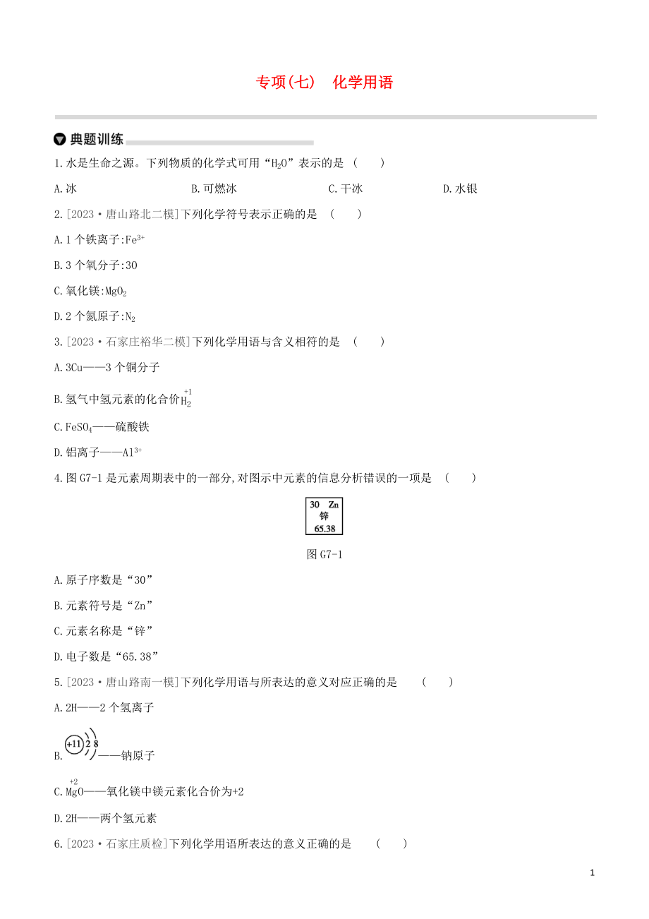 河北专版2023学年中考化学复习方案专项07化学用语试题.docx_第1页