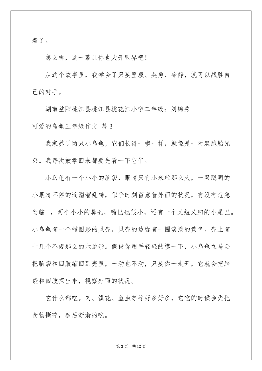 2023年可爱的乌龟三年级作文2.docx_第3页