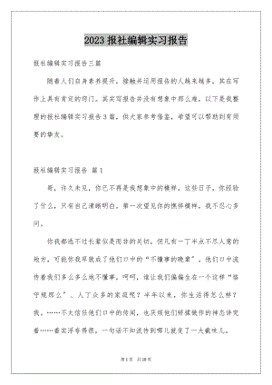 2023报社编辑实习报告范文.docx