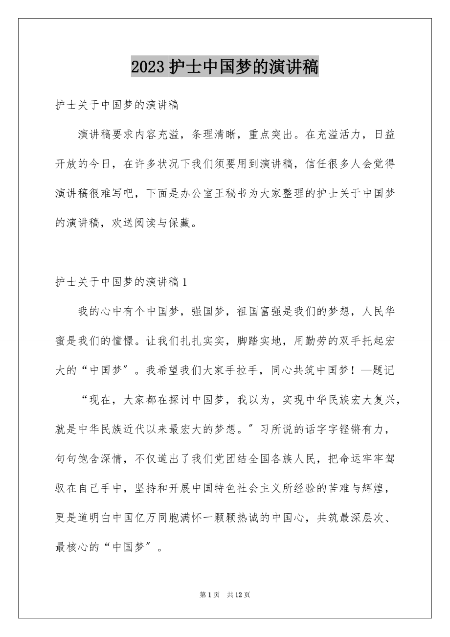 2023护士中国梦的演讲稿范文.docx_第1页