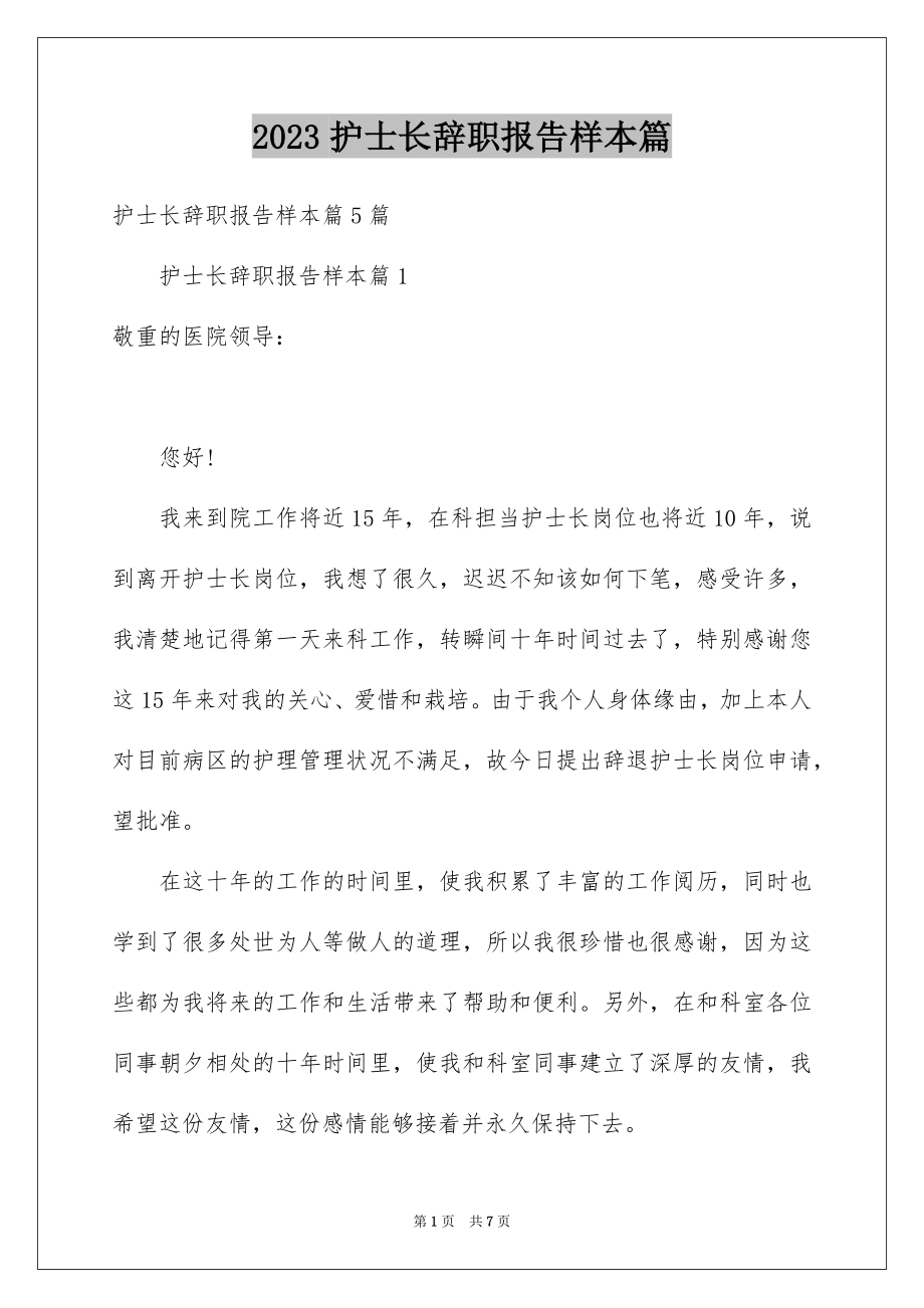 2023护士长辞职报告样本篇范文.docx_第1页