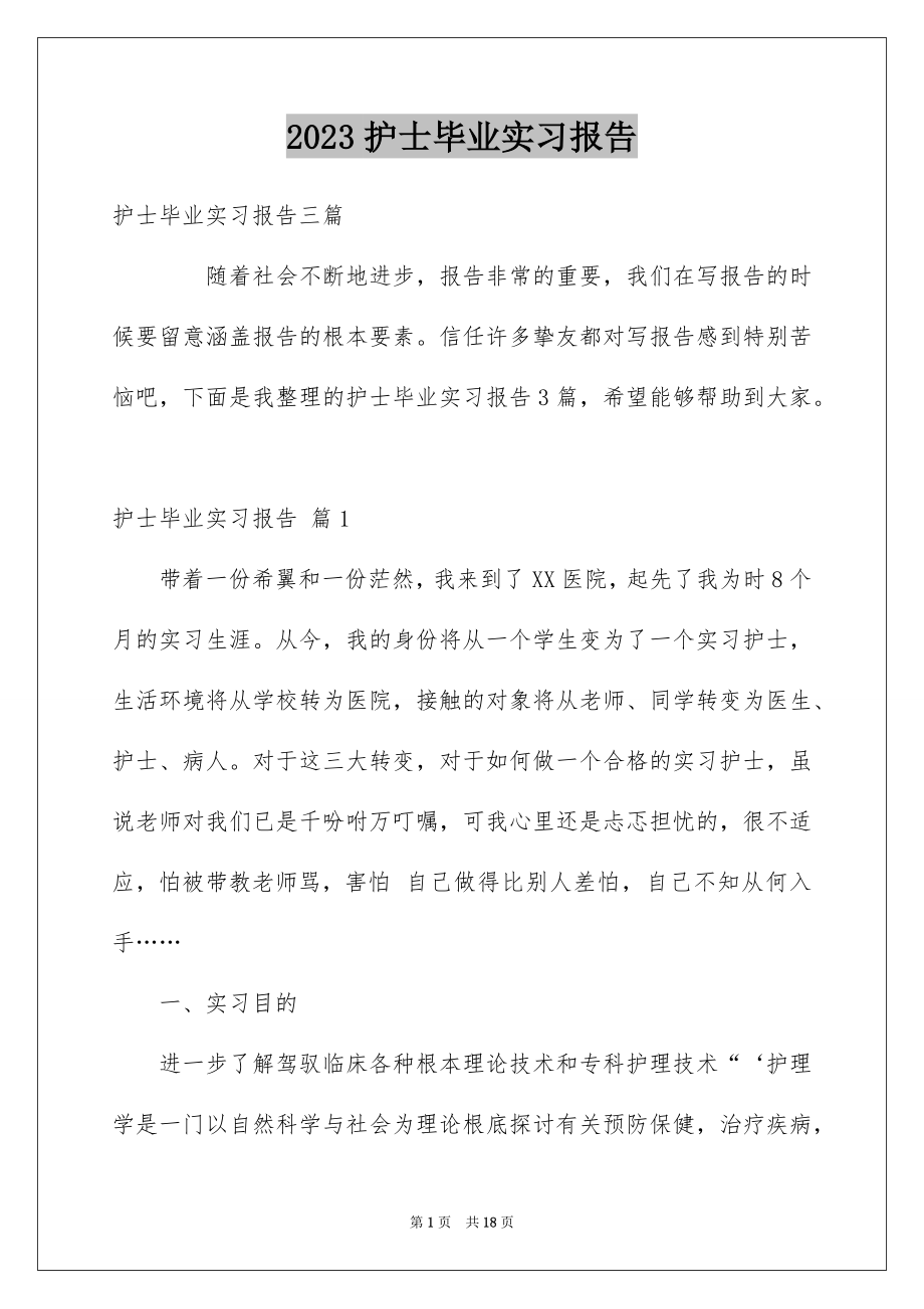 2023护士毕业实习报告范文.docx_第1页