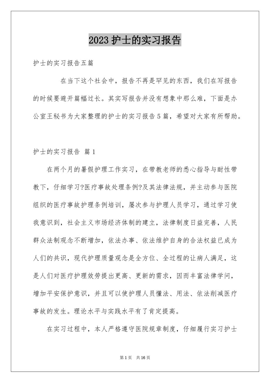 2023护士的实习报告30范文.docx_第1页