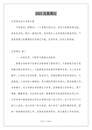 2023年反思周记161.docx