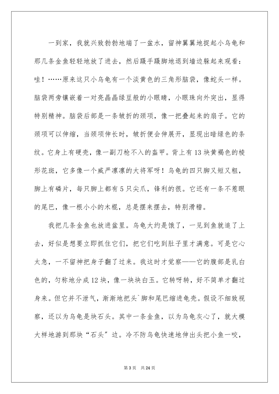 2023年可爱的小乌龟.docx_第3页