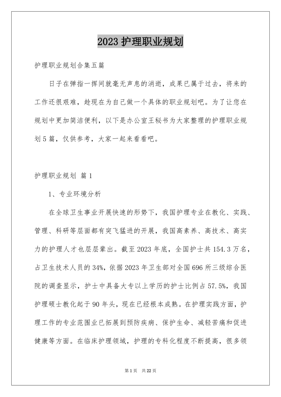 2023护理职业规划9范文.docx_第1页