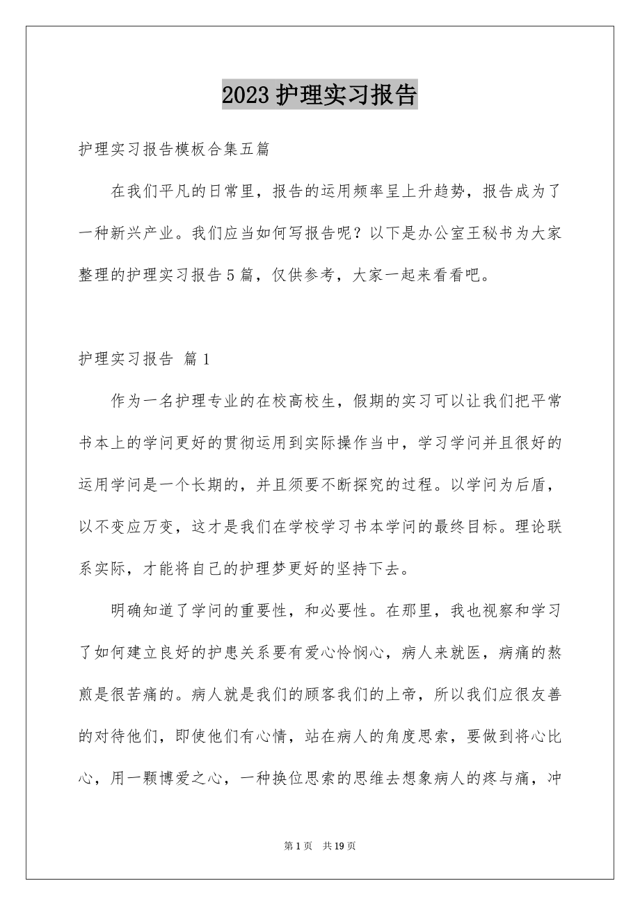 2023护理实习报告10范文.docx_第1页