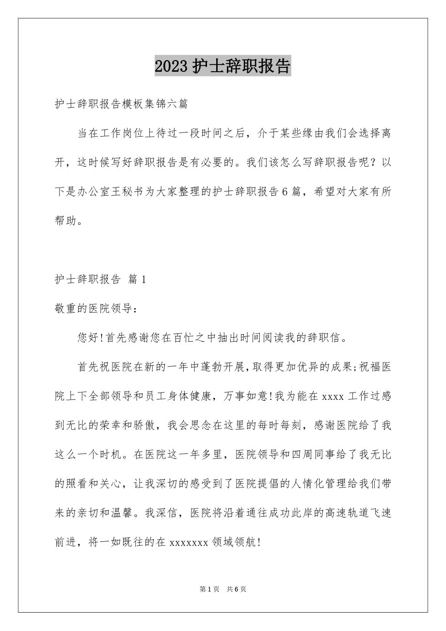 2023护士辞职报告179范文.docx_第1页