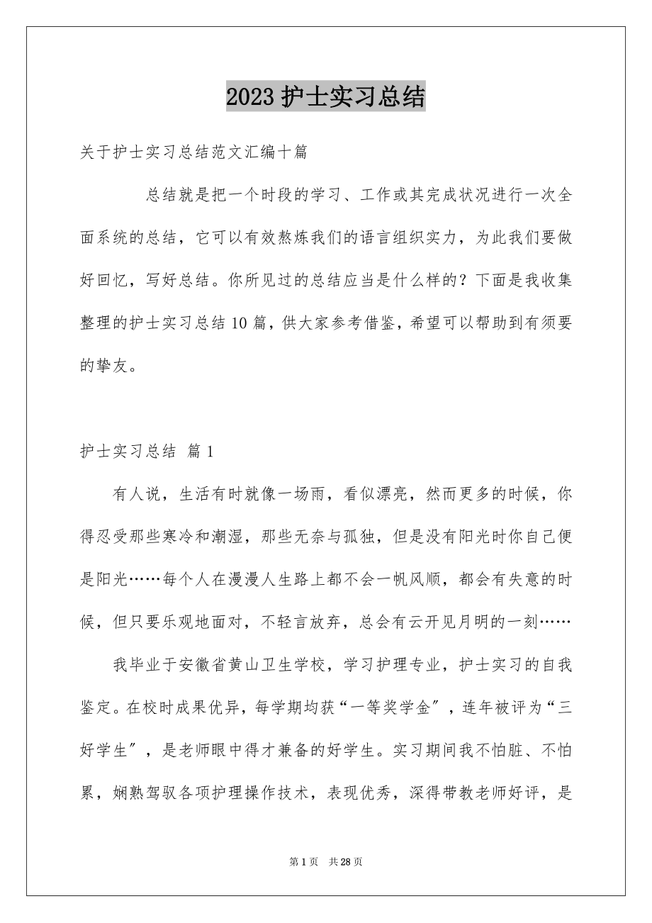 2023护士实习总结33范文.docx_第1页