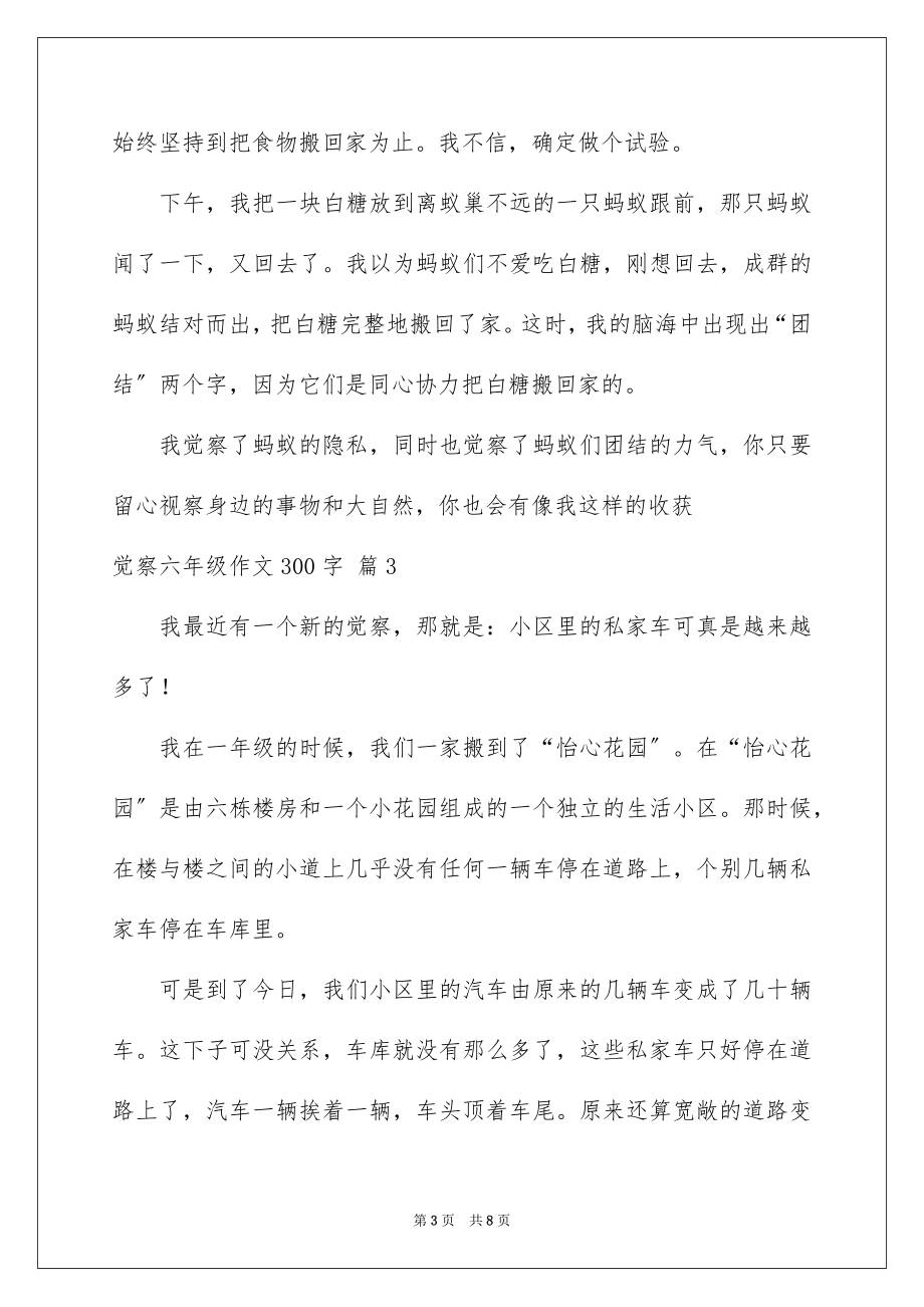 2023年发现六年级作文300字4.docx_第3页