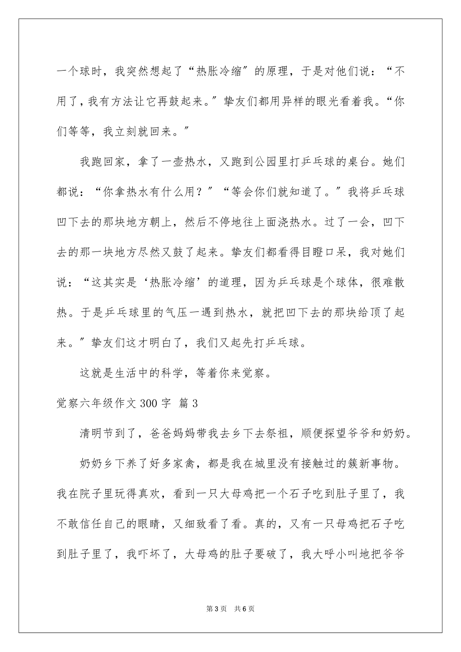 2023年发现六年级作文300字.docx_第3页