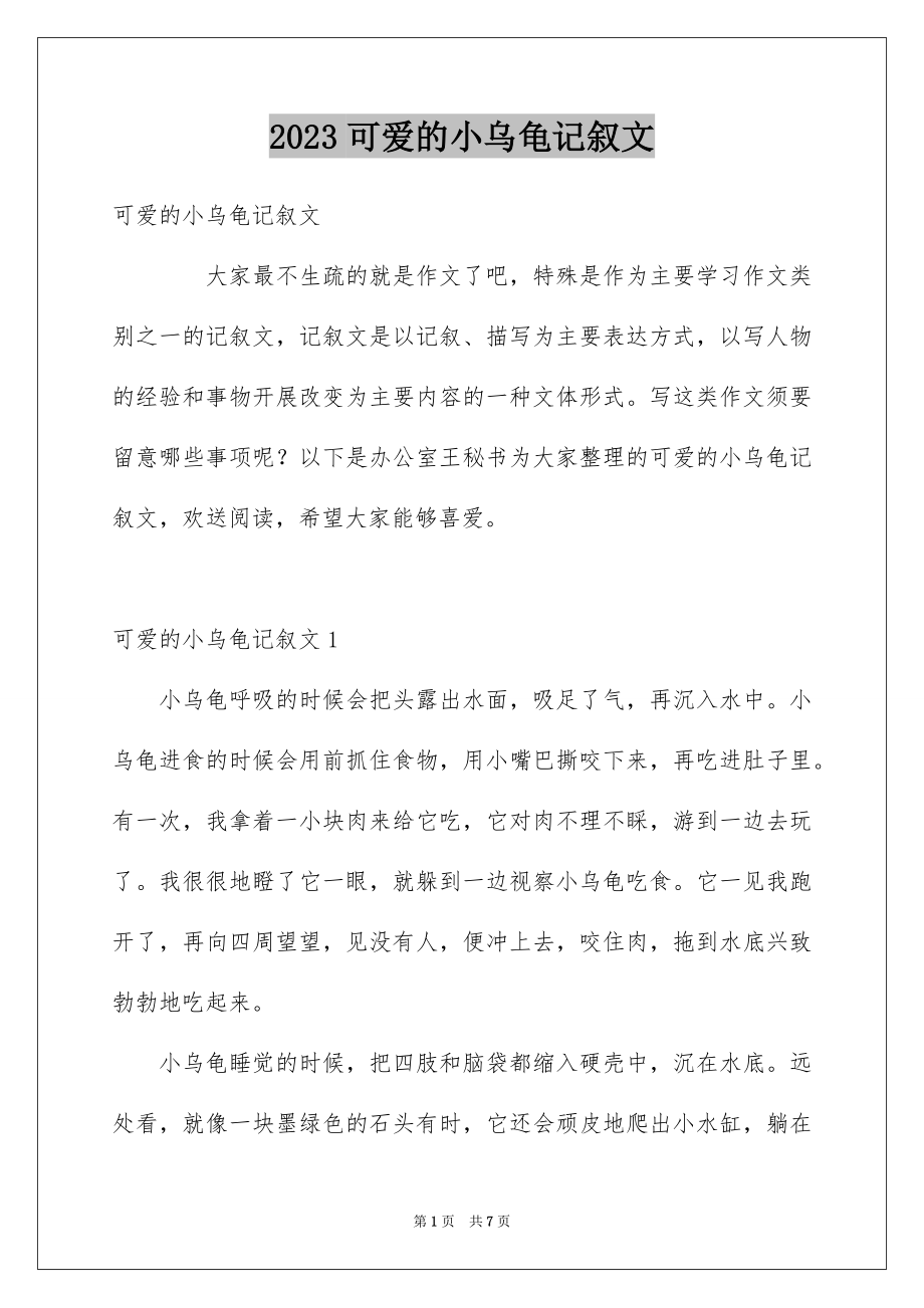 2023年可爱的小乌龟记叙文1.docx_第1页