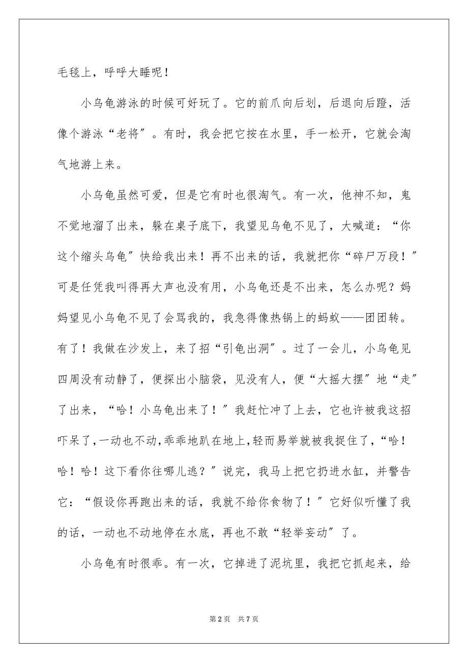 2023年可爱的小乌龟记叙文1.docx_第2页