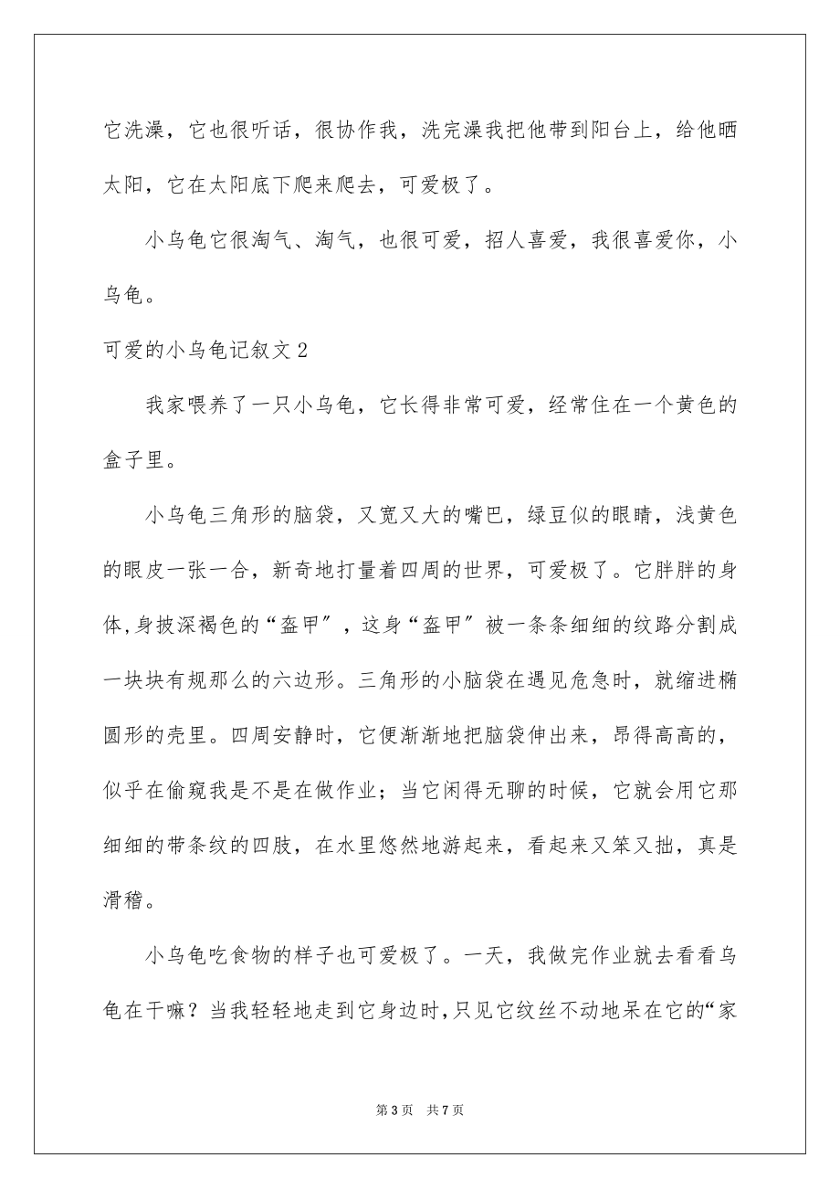 2023年可爱的小乌龟记叙文1.docx_第3页