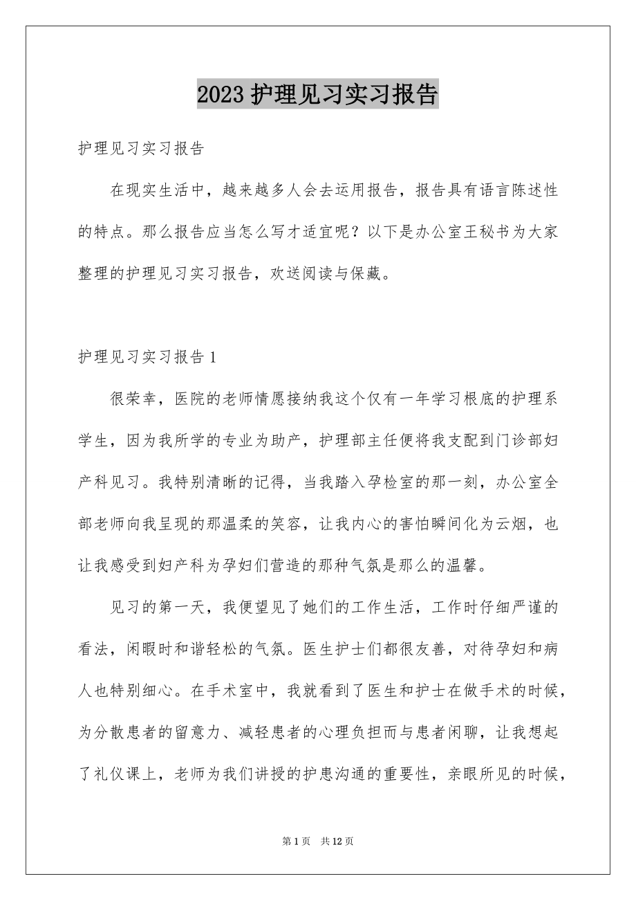 2023护理见习实习报告范文.docx_第1页