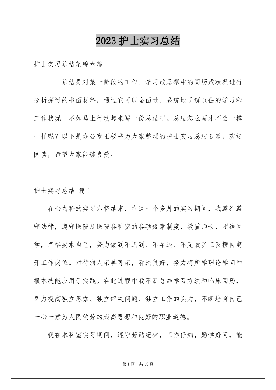 2023护士实习总结8范文.docx_第1页