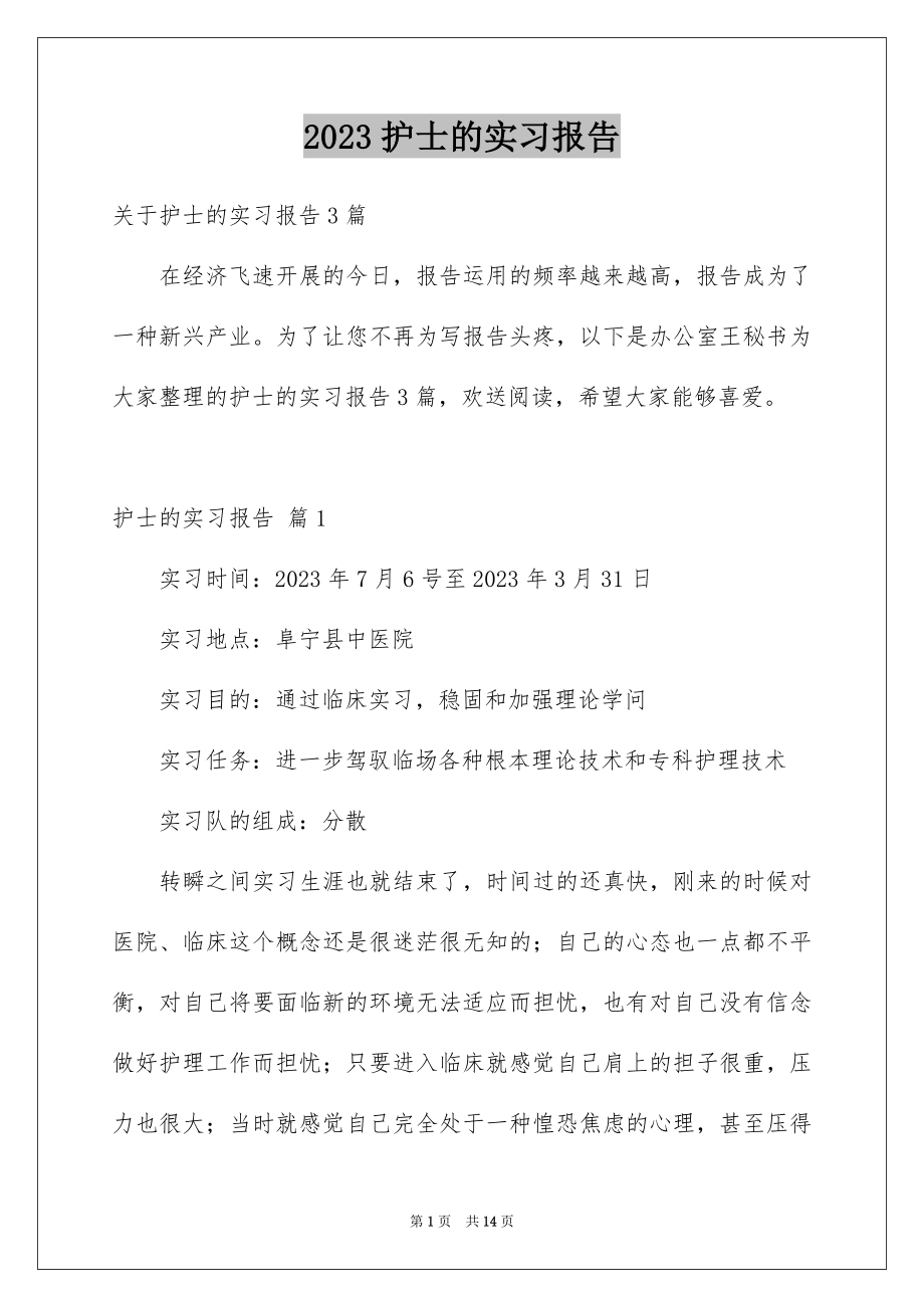 2023护士的实习报告6范文.docx_第1页