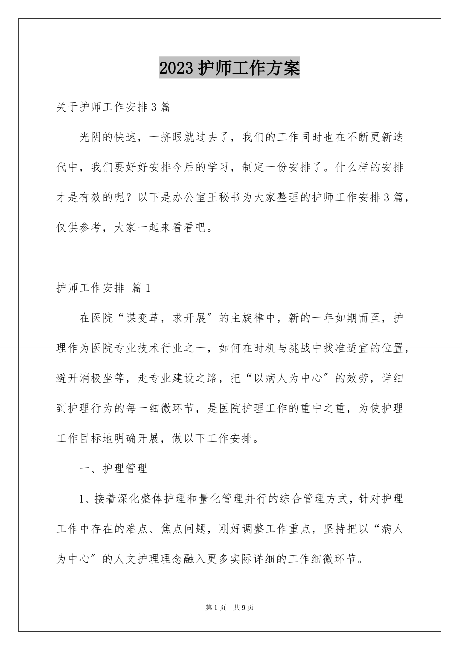 2023护师工作计划4范文.docx_第1页