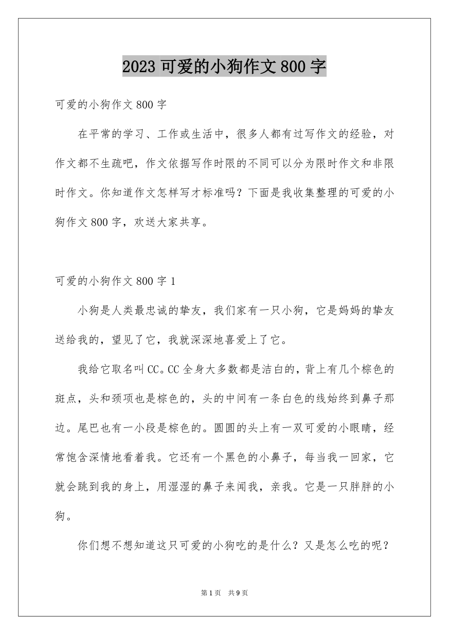 2023年可爱的小狗作文800字.docx_第1页