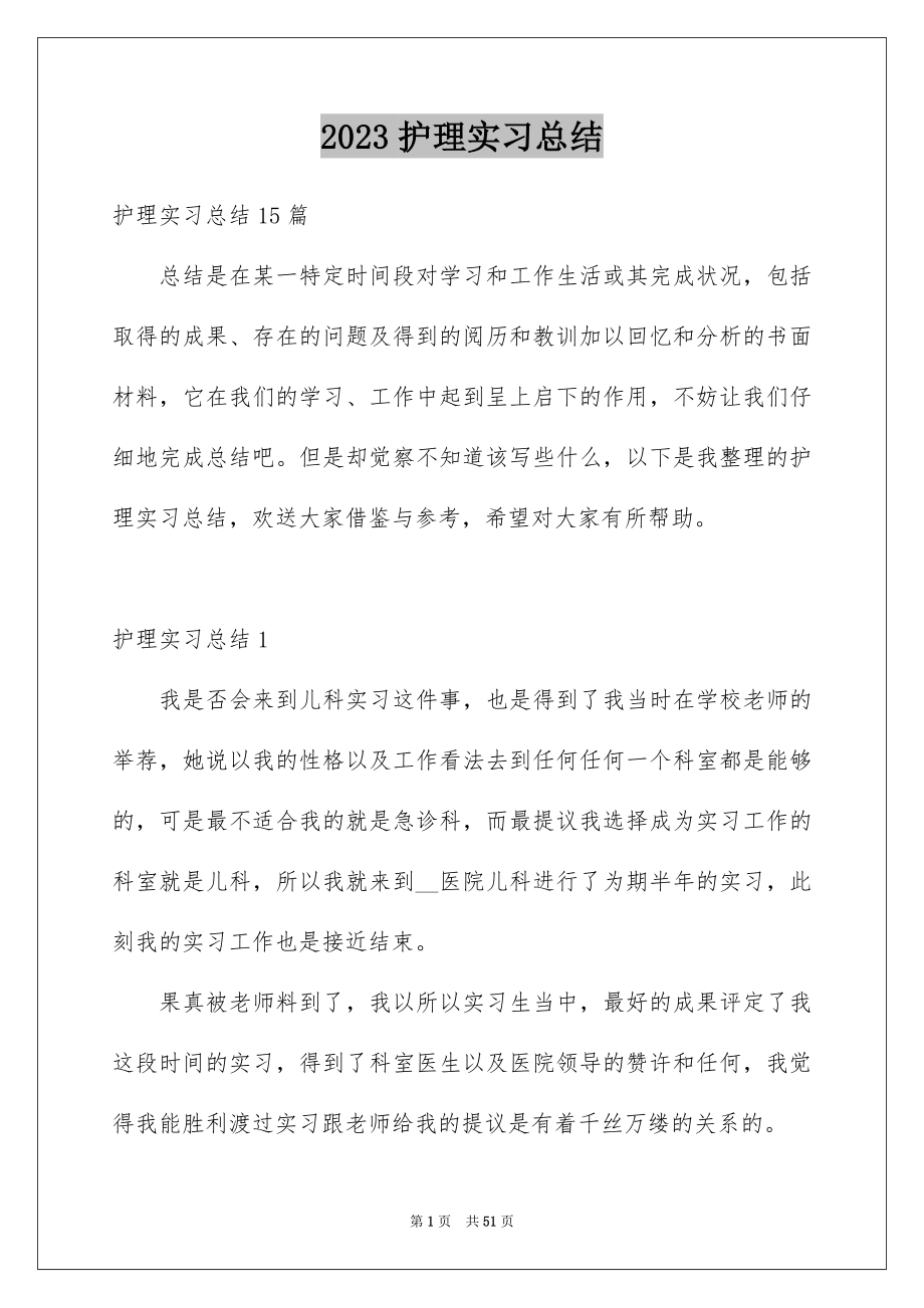 2023护理实习总结12范文.docx_第1页