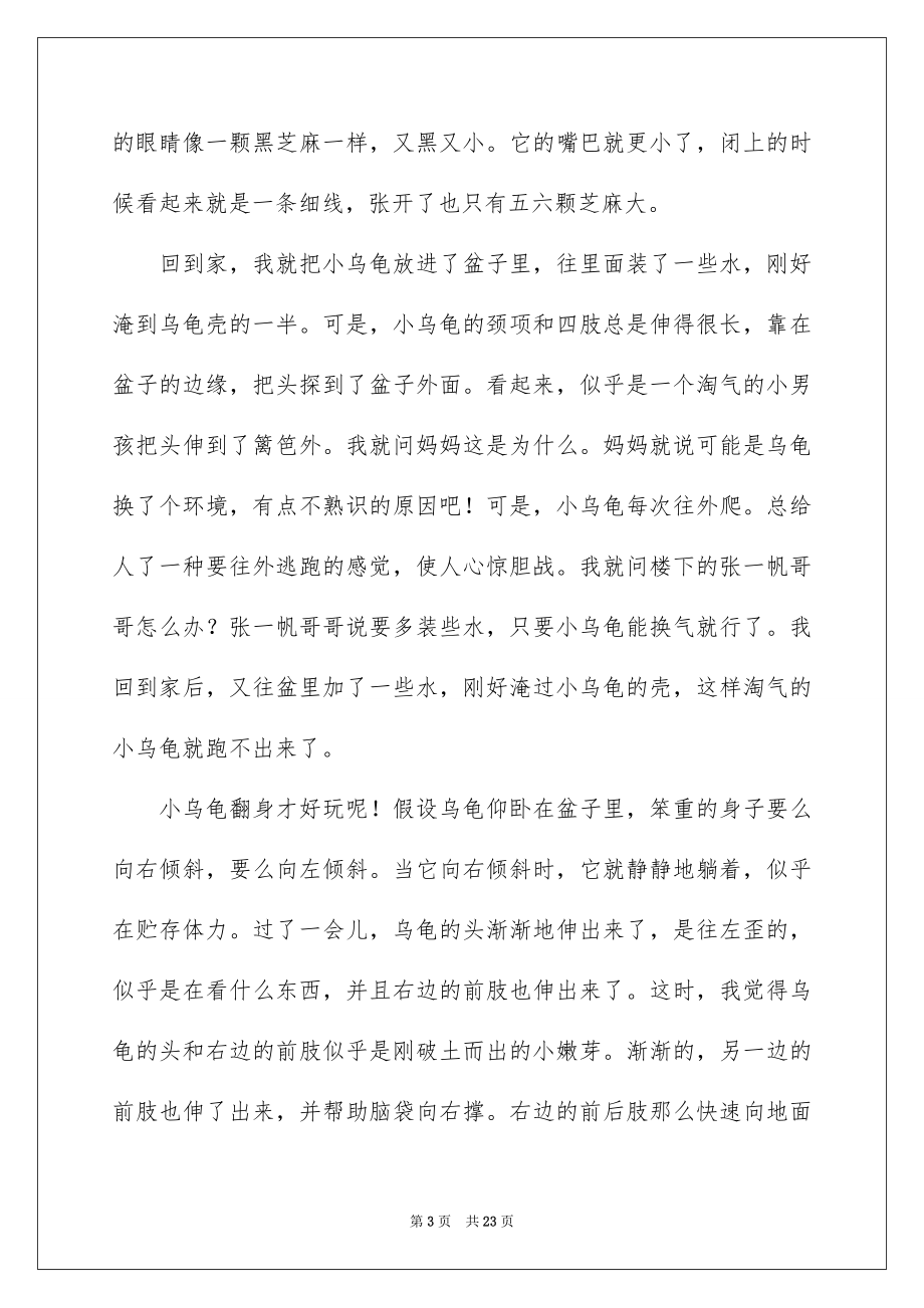 2023年可爱的小乌龟1.docx_第3页