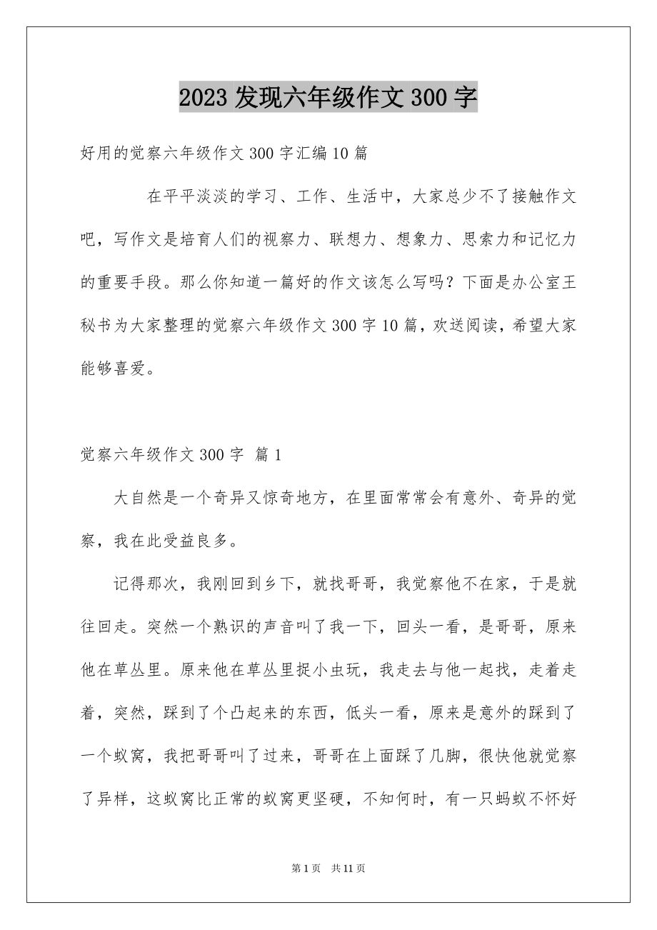 2023年发现六年级作文300字3.docx_第1页