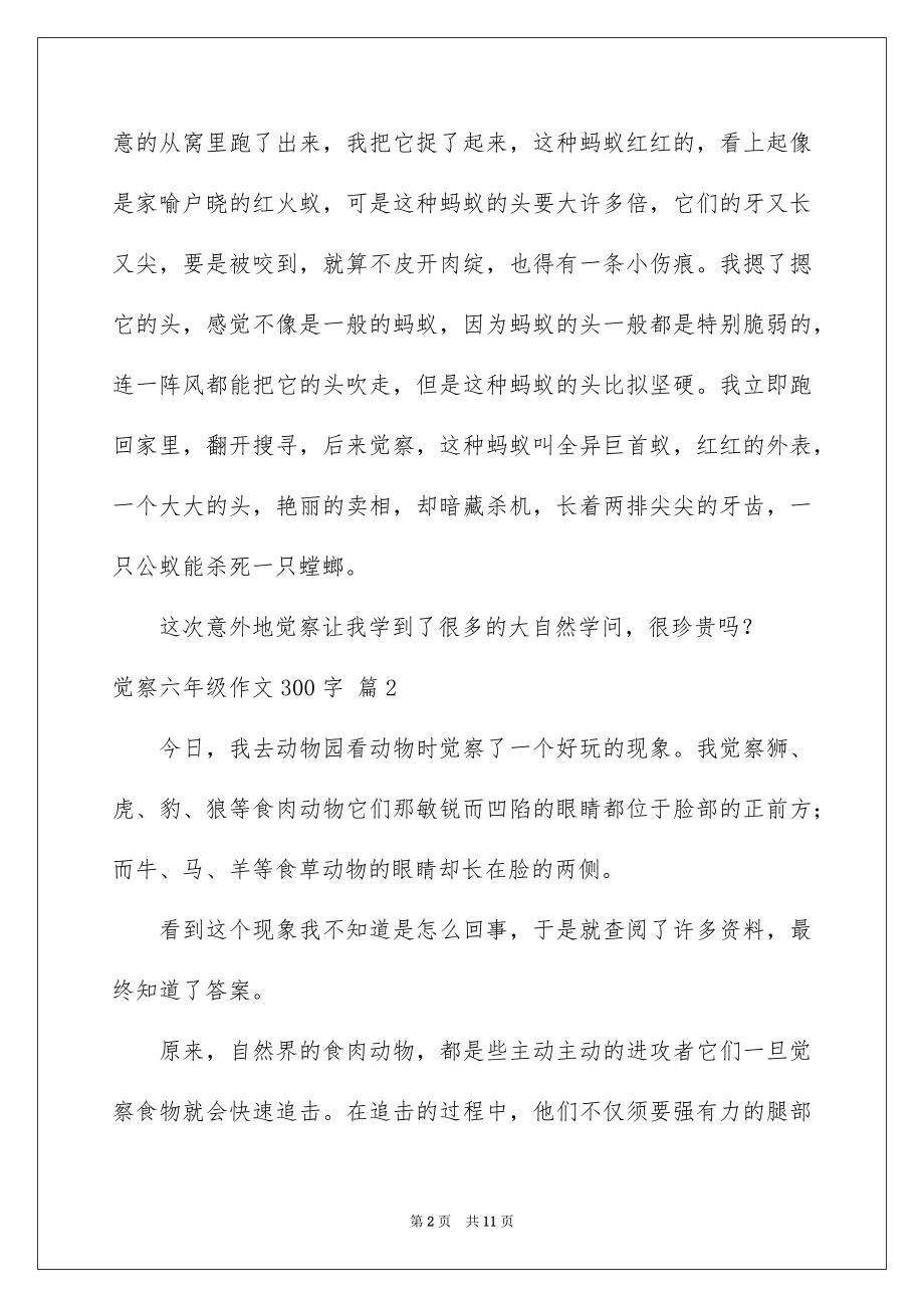 2023年发现六年级作文300字3.docx_第2页