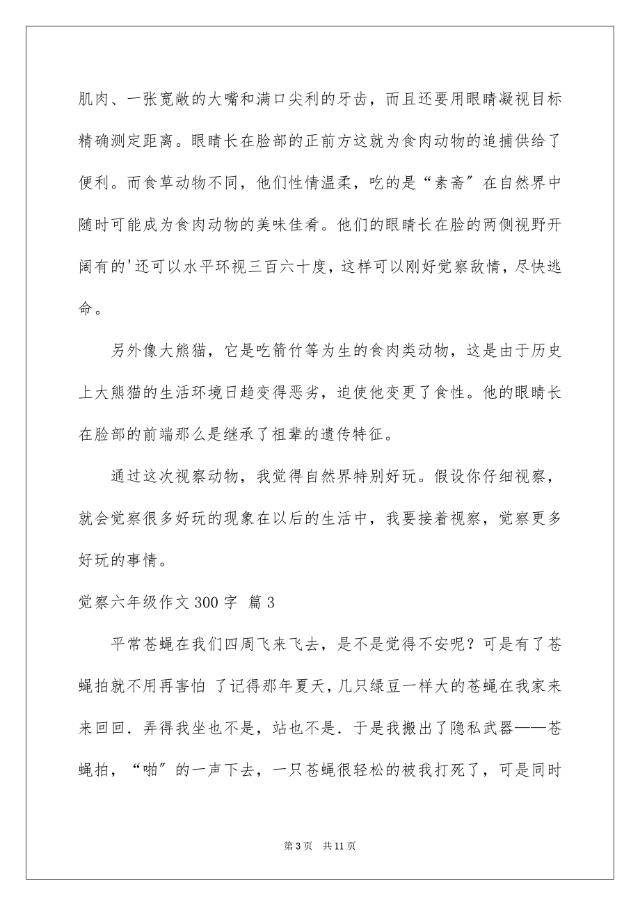 2023年发现六年级作文300字3.docx_第3页