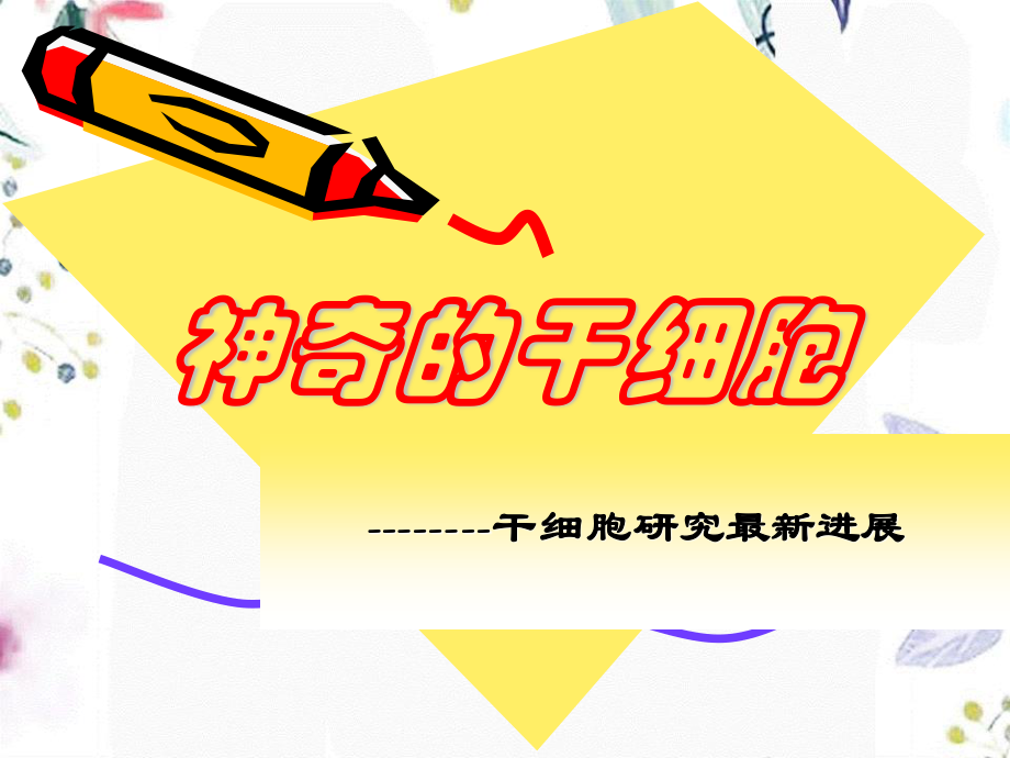 2023年dd神奇的干细胞（教学课件）.ppt_第1页